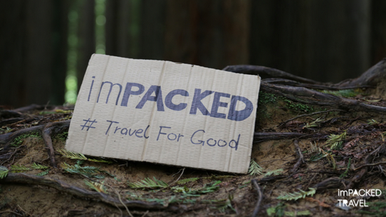  @Dani/imPACKED Travel