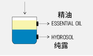 图源：dogsnaturallymagazine@RitaHogan