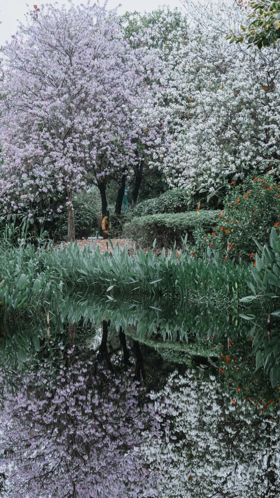 小红书@开客栈的得意哥