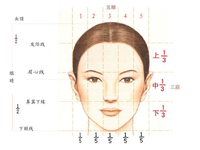 三庭五眼