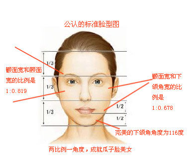 亚洲人黄金比例脸形