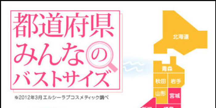 日本女性平均胸围地图风行的背后 手机新浪网