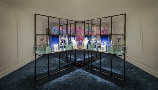 “植物绮境”展区