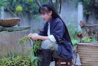 能打败李子柒的 只有李子柒