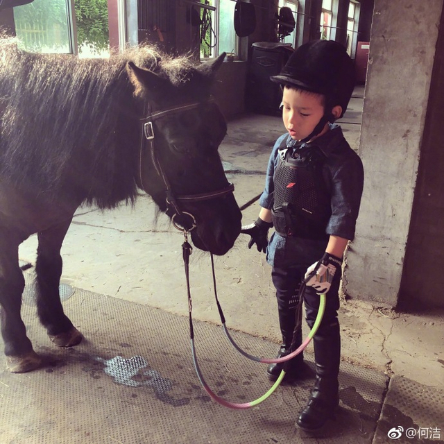 七宝帅气骑马