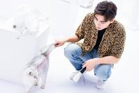 李易峰衬衫配牛仔裤清爽帅气 与猫猫互动眼神温柔侧颜精致
