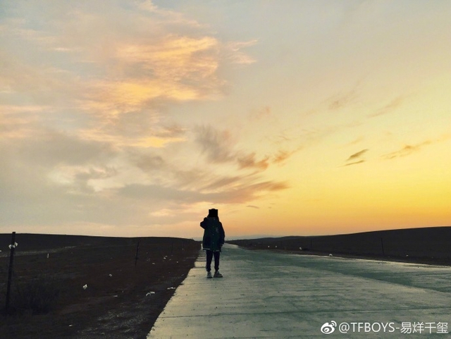 组图：易烊千玺怀抱猫咪温暖柔顺 公路旁背光拍照身影可爱