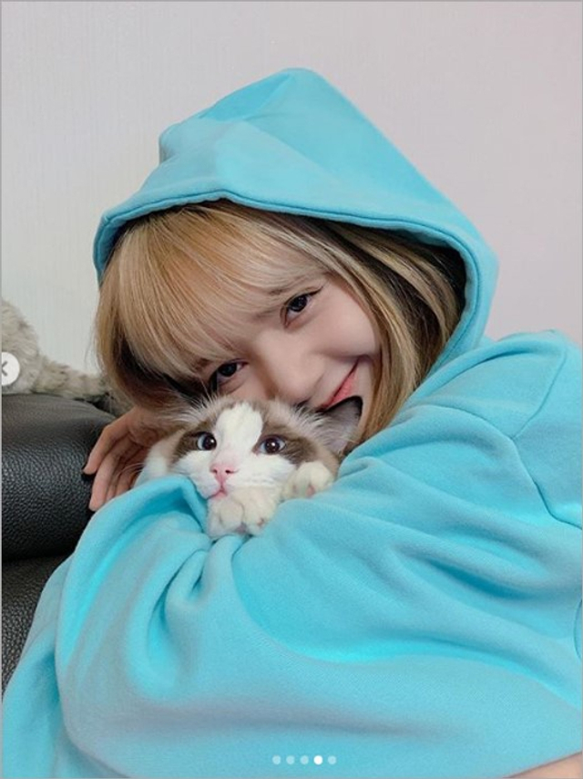 blackpink成员lisa抱猫咪合影 喵星人被挤脸