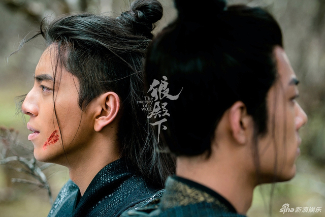 《狼殿下》王大陆肖战