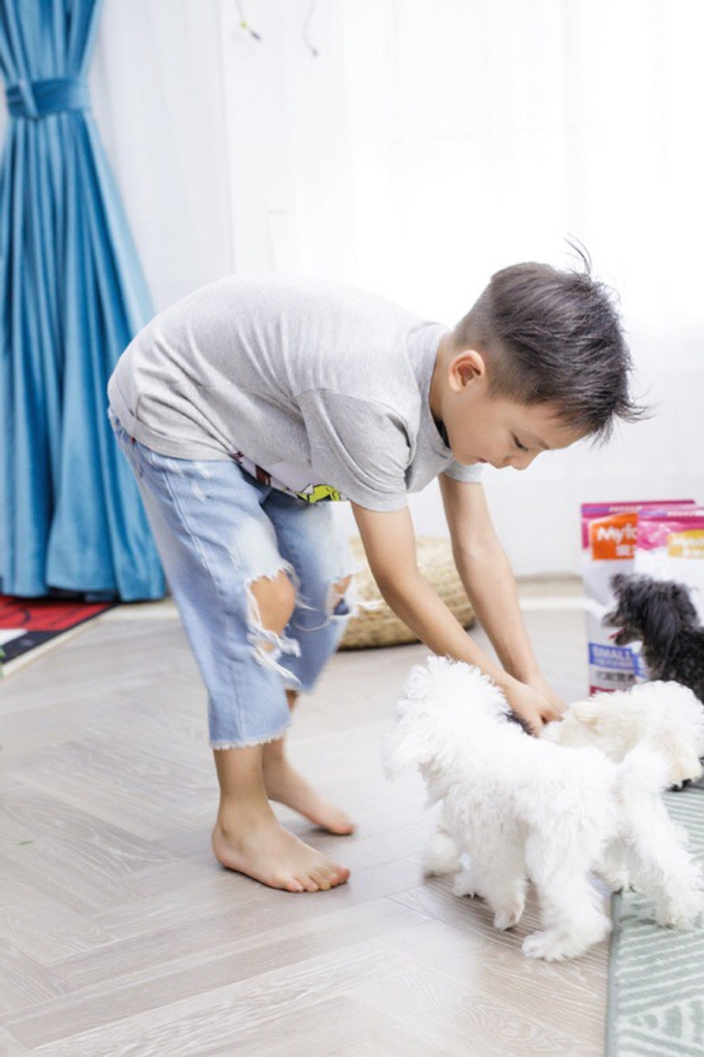 组图：叶一茜和儿子小亮仔带狗体检 画面温馨有爱