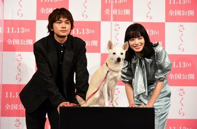 北村匠海小松菜奈同台跟小狗互动超有爱 新浪图片