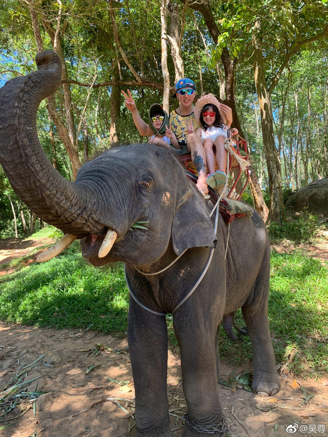 组图：吴尊晒家庭旅行温馨满满 与儿女骑大象坐游艇