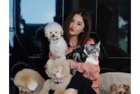 蔡卓妍绿洲为三只爱犬庆生 和宠物们拍全家福累到翻白眼