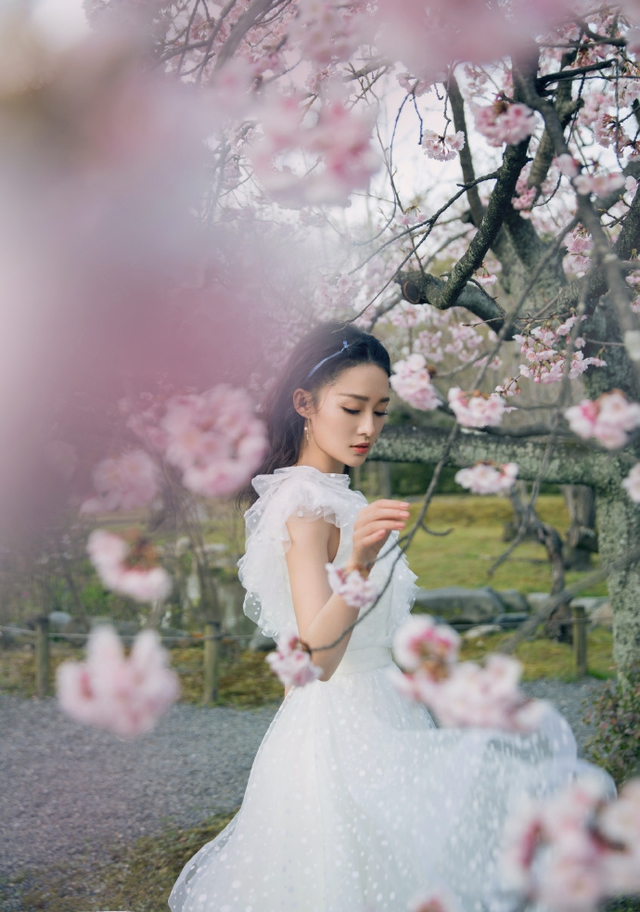李沁一袭白色蕾丝裙仙气飘飘 樱花树下留影春日感十足_新浪图片