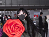 组图：田曦薇巨型玫瑰现身机场 甜美笑眼尽显俏皮可爱