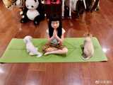 组图：曹格妻子教儿女练瑜伽 姐姐Joe软萌可爱