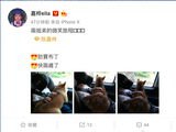 组图：Ella带儿子和爱犬出游 布丁乖乖趴劲宝身上很有爱