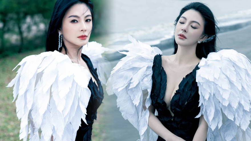 张雨绮穿深V礼服秀傲人身材 海边漫步似优雅黑天鹅