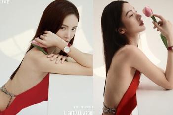 金晨露美背秀曼妙身材