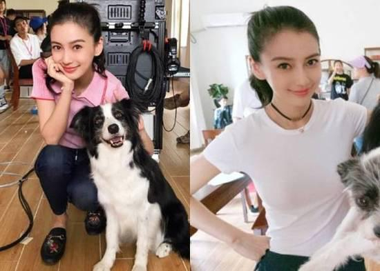 baby和两只狗狗合照