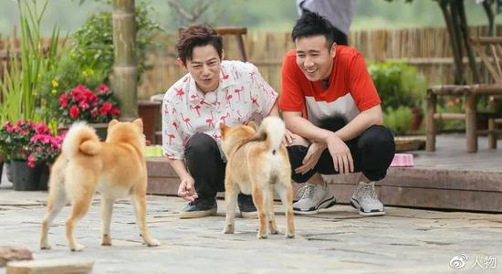 向往的生活