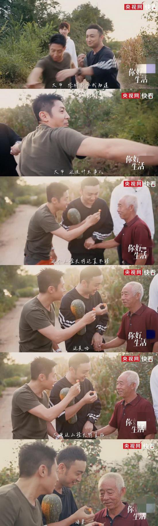 撒贝宁“指鹿为马”未能成功