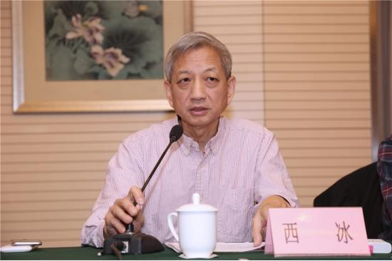 中国电视艺术家协会纪录片学术委员会副会长西冰