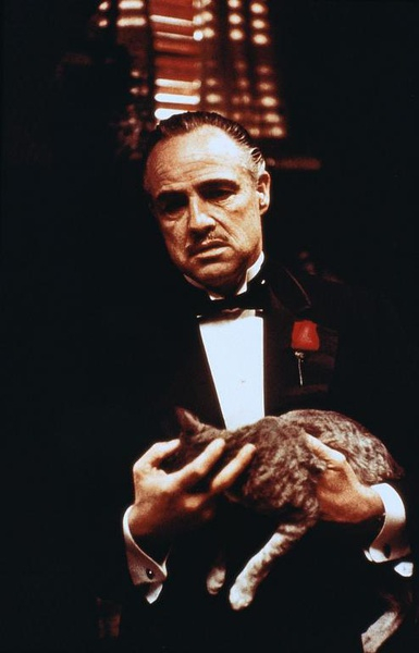 光看这副装打扮是不是已经让你想起了《教父》？