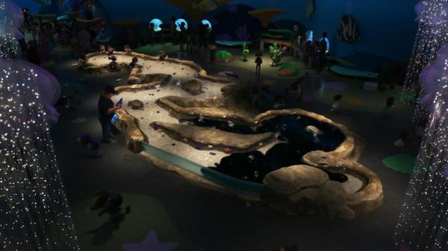 海洋生物研究所里的触摸池