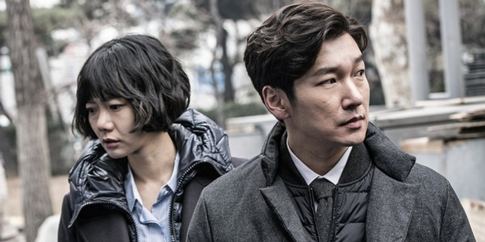 内含剧透慎入!《秘密森林》大结局催泪感人