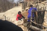 网友偶遇刘涛王凯下乡干农活 两人推独轮车扛肥料超接地气
