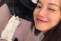 太可爱辣!舒淇遇萌猫秒变小粉丝 对镜比耶甜度满分