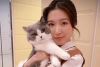 李泽楷女友郭嘉文为爱猫庆生 扎丸子头大玩自拍元气满满
