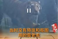 没有特技和抠图!《水浒传》“武松”丁海峰打的是真老虎