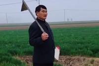 大衣哥朱之文穿中山装站麦田里唱歌 狗狗突然闯入画面逗趣