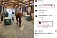 吴彦祖妻子晒女儿骑马照 8岁吴斐然马背上神情自若好勇敢
