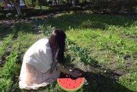 王祖贤加拿大田园生活曝光 蹲着挖土种菜十分接地气