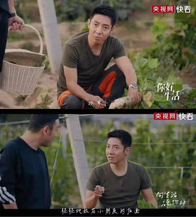 撒贝宁与尼格买提互怼