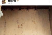 陈赫前妻许婧疑好事将近 和外籍男友在西班牙买房改装