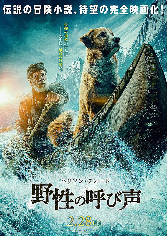 电影《野性的呼唤》海报