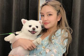 周扬青抱小狗出镜
