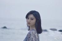 人民日报评景甜被罚:明星代言广告应自醒自律自重