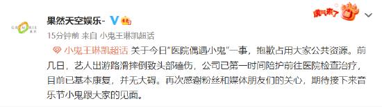小鬼王琳凯公司回应