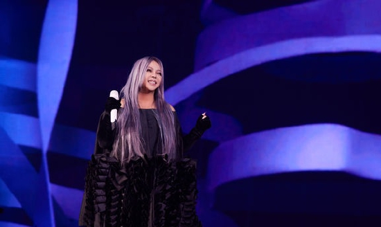 张惠妹演唱会现场