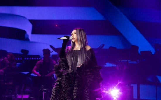 张惠妹演唱会现场