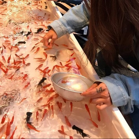 蔡依林捞金鱼