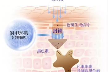 传明酸原来不是酸