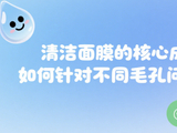 清洁面膜的核心成分如何针对不同毛孔问题？
