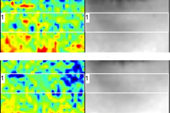 图源参考文献[2]