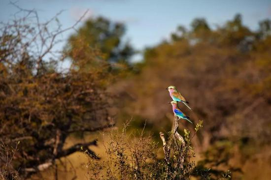 Photo by Aftab Uzzaman via Flickr